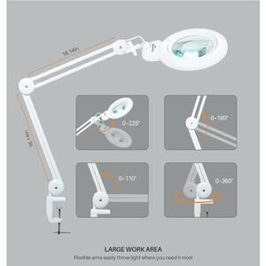 Bifocals Magnifying Desk Lamp w/ Clamp, 5X & 20X Diopter, 6" Lens, 120 LEDs
